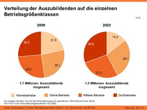 Verteilung der Auszubildenden auf die einzelnen Betriebsgrößenklassen